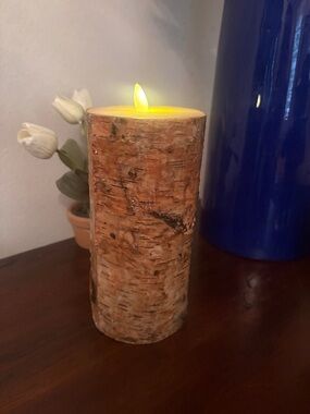 Pottery Barn Pillar Candle - Textured Birch